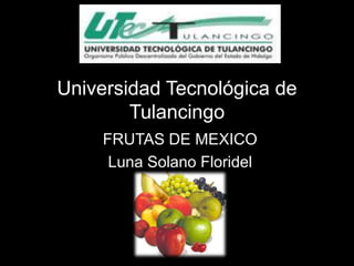 Universidad Tecnológica de
        Tulancingo
    FRUTAS DE MEXICO
     Luna Solano Floridel
 