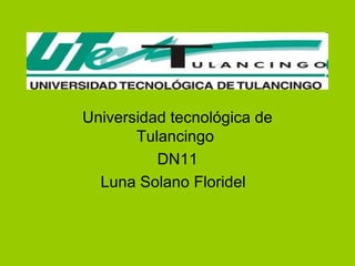 Universidad tecnológica de Tulancingo  DN11 Luna Solano Floridel  