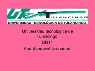 Universidad tecnológica de Tulancingo  DN11 Ana Sandoval Granados  