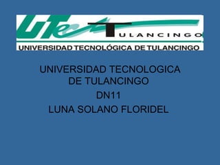 UNIVERSIDAD TECNOLOGICA DE TULANCINGO  DN11  LUNA SOLANO FLORIDEL  