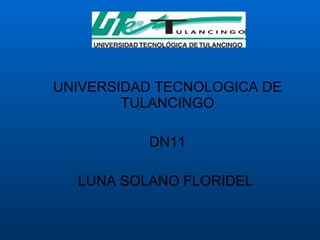 UNIVERSIDAD TECNOLOGICA DE TULANCINGO DN11 LUNA SOLANO FLORIDEL  