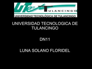 UNIVERSIDAD TECNOLOGICA DE TULANCINGO DN11 LUNA SOLANO FLORIDEL 