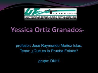 profesor: José Raymundo Muñoz Islas.
  Tema: ¿Qué es la Prueba Enlace?
                  .
             grupo: DN11
 