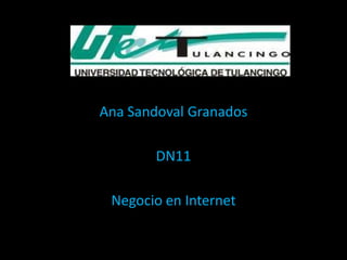 Ana Sandoval Granados

        DN11

 Negocio en Internet
 