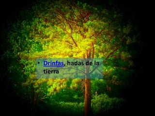 • Drinfas, hadas de la
  tierra
 