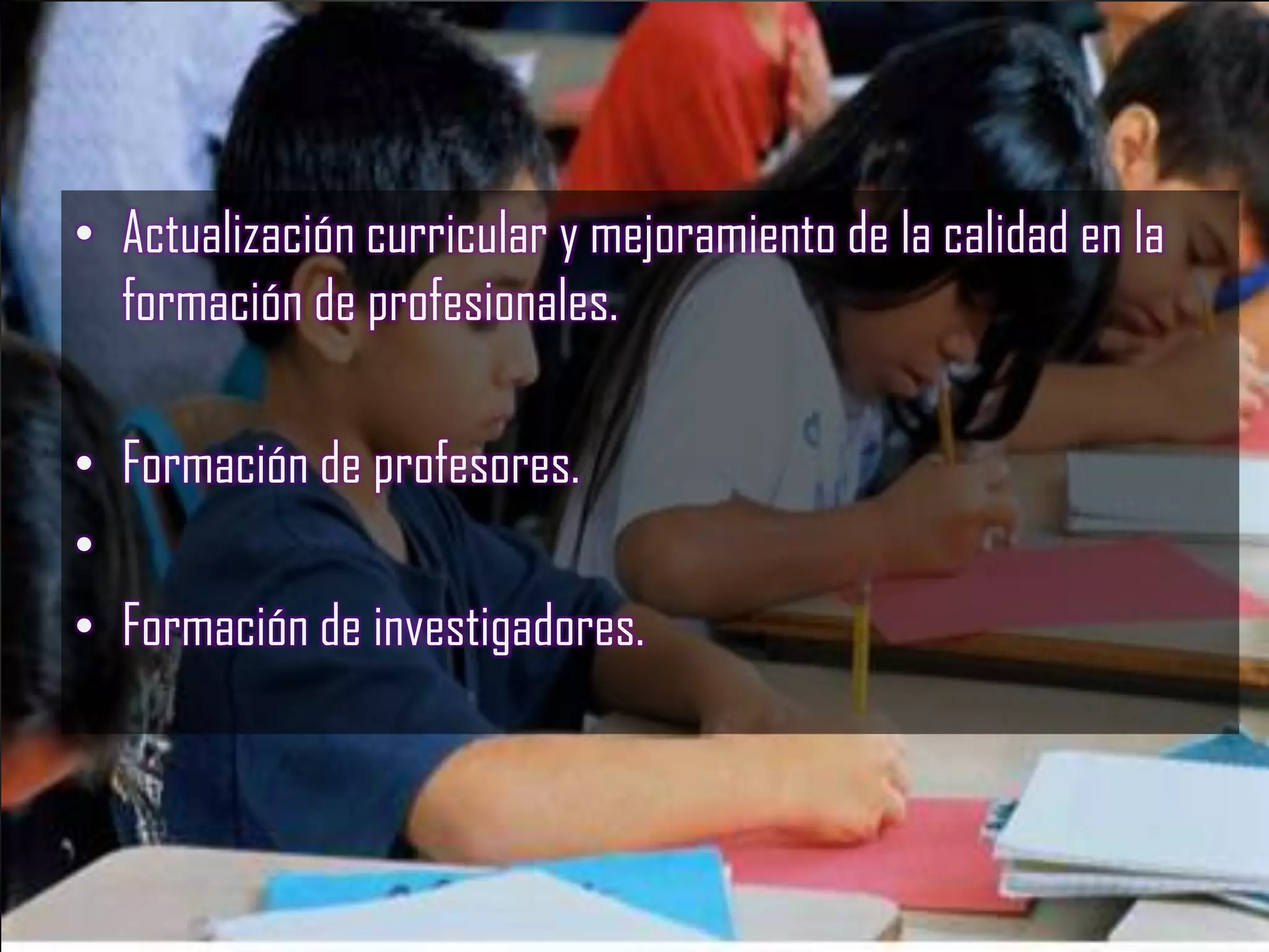 • Actualización curricular y mejoramiento de la calidad en la
  formación de profesionales.

• Formación de profesores.
•
• Formación de investigadores.
 