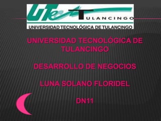 UNIVERSIDAD TECNOLÓGICA DE
        TULANCINGO

 DESARROLLO DE NEGOCIOS

  LUNA SOLANO FLORIDEL

          DN11
 