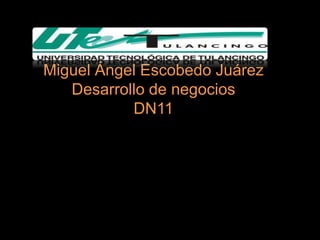 Miguel Ángel Escobedo Juárez
   Desarrollo de negocios
           DN11
 