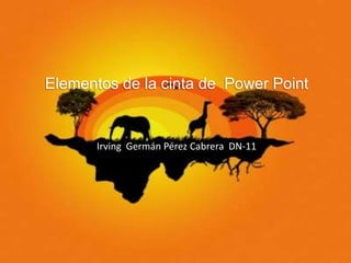 Elementos de la cinta de  Power PointIrving  Germán Pérez Cabrera  DN-11  