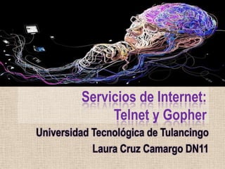 Servicios de Internet:
              Telnet y Gopher
Universidad Tecnológica de Tulancingo
            Laura Cruz Camargo DN11
 