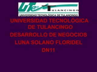 UNIVERSIDAD TECNOLÓGICA
     DE TULANCINGO
DESARROLLO DE NEGOCIOS
 LUNA SOLANO FLORIDEL
          DN11
 
