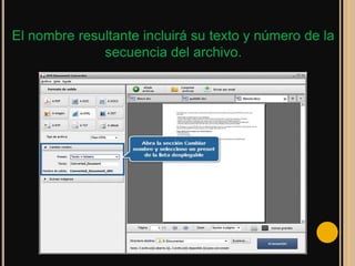 El nombre resultante incluirá su texto y número de la
              secuencia del archivo.
 