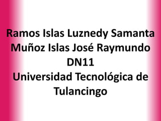 Ramos Islas Luznedy Samanta
 Muñoz Islas José Raymundo
            DN11
 Universidad Tecnológica de
         Tulancingo
 