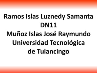 Ramos Islas Luznedy Samanta
            DN11
 Muñoz Islas José Raymundo
  Universidad Tecnológica
       de Tulancingo
 