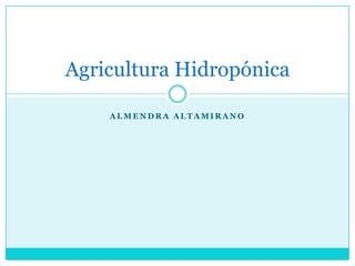 Almendra Altamirano Agricultura Hidropónica 