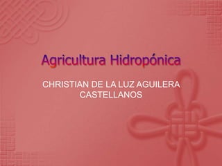 Agricultura Hidropónica CHRISTIAN DE LA LUZ AGUILERA CASTELLANOS  