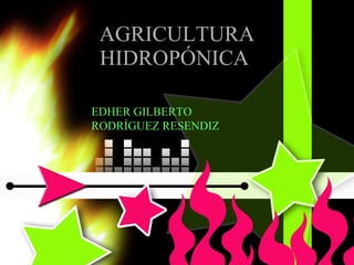 AGRICULTURA HIDROPÓNICA  EDHER GILBERTO RODRÍGUEZ RESENDIZ 