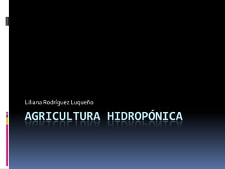 Agricultura Hidropónica Liliana Rodríguez Luqueño 