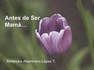 Antes de Ser Mamá… Almendra Altamirano López T. 