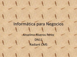 Informática para Negocios

    Anselmo Riveros Pérez
           DN11
        Radiant CMS
 