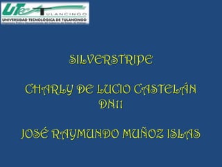 SILVERSTRIPE

CHARLY DE LUCIO CASTELÁN
          DN11

JOSÉ RAYMUNDO MUÑOZ ISLAS
 