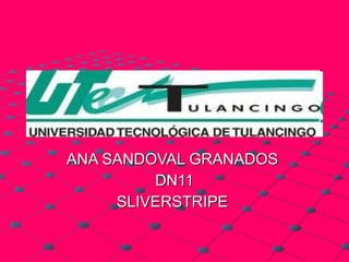 ANA SANDOVAL GRANADOS  DN11 SLIVERSTRIPE  