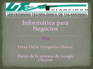 Informática para
      Negocios
            DN11

Ditza Odile Arregoitia Chávez

Partes de la ventana de Google
            Chrome
 