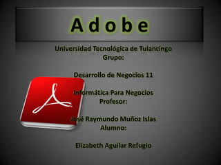 Adobe
Universidad Tecnológica de Tulancingo
               Grupo:

     Desarrollo de Negocios 11

     Informática Para Negocios
             Profesor:

     José Raymundo Muñoz Islas
              Alumno:

      Elizabeth Aguilar Refugio
 