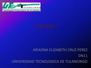 “A D O B E ”



          ARIADNA ELIZABETH CRUZ PEREZ
                                 DN11
UNIVERSIDAD TECNOLOGICA DE TULANCINGO
 