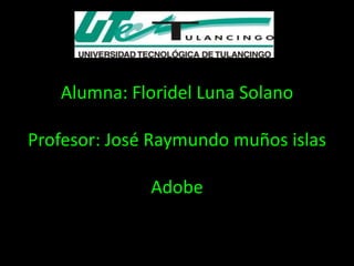 Alumna: Floridel Luna Solano

Profesor: José Raymundo muños islas

              Adobe
 