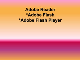 Adobe Reader
   *Adobe Flash
*Adobe Flash Player
 