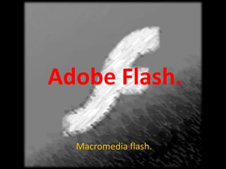Adobe Flash.

  Macromedia flash.
 