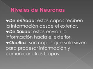 Niveles de NeuronasDe entrada: estas capas reciben la información desde el exterior.