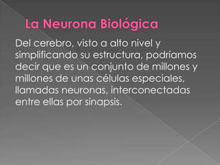La Neurona Biológica Del cerebro, visto a alto nivel y simplificando su estructura, podríamos decir que es un conjunto de millones y millones de unas células especiales, llamadas neuronas, interconectadas entre ellas por sinapsis.