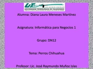 Alumna: Diana Laura Meneses Martínez


Asignatura: Informática para Negocios 1


             Grupo: DN12


        Tema: Perros Chihuahua


Profesor: Lic. José Raymundo Muñoz Islas
 