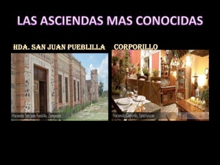 HDA. SAN JUAN PUEBLILLA   CORPORILLO
 