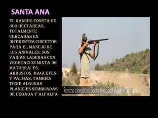 El rancho consta de
300 hectáreas,
totalmente
cercadas en
diferentes circuitos
para el manejo de
los animales. Son
varias laderas con
vegetación mixta de
matorrales,
arbustos, magueyes
y palmas, también
tiene algunas
planicies sembradas
de cebada y alfalfa
 