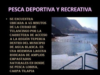 • Se encuentra
  ubicada a 45 minutos
  de la ciudad de
  Tulancingo por la
  carretera de acceso
  a la región Tepehua
  dentro del municipio
  de Agua Blanca. Es
  una hermosa laguna
  rodeada de amplios
  empastados
  naturales en donde
  se pesca lobina,
  carpa tilapia
 