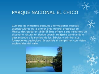 PARQUE NACIONAL EL CHICO

Cubierto de inmensos bosques y formaciones rocosas
espectaculares es la primer área natural protegida en
México decretada en 1898.El área ofrece a sus visitantes un
escenario natural en donde podrán relajarse caminando o
descansando a la sombra de los árboles y admirar sus
formaciones geológicas. Es posible el campismo, con vistas
esplendidas del valle.
 