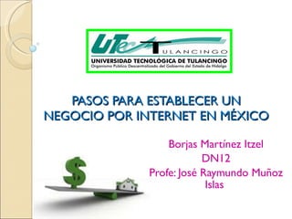 PASOS PARA ESTABLECER UN NEGOCIO POR INTERNET EN MÉXICO Borjas Martínez Itzel DN12 Profe: José Raymundo Muñoz Islas  