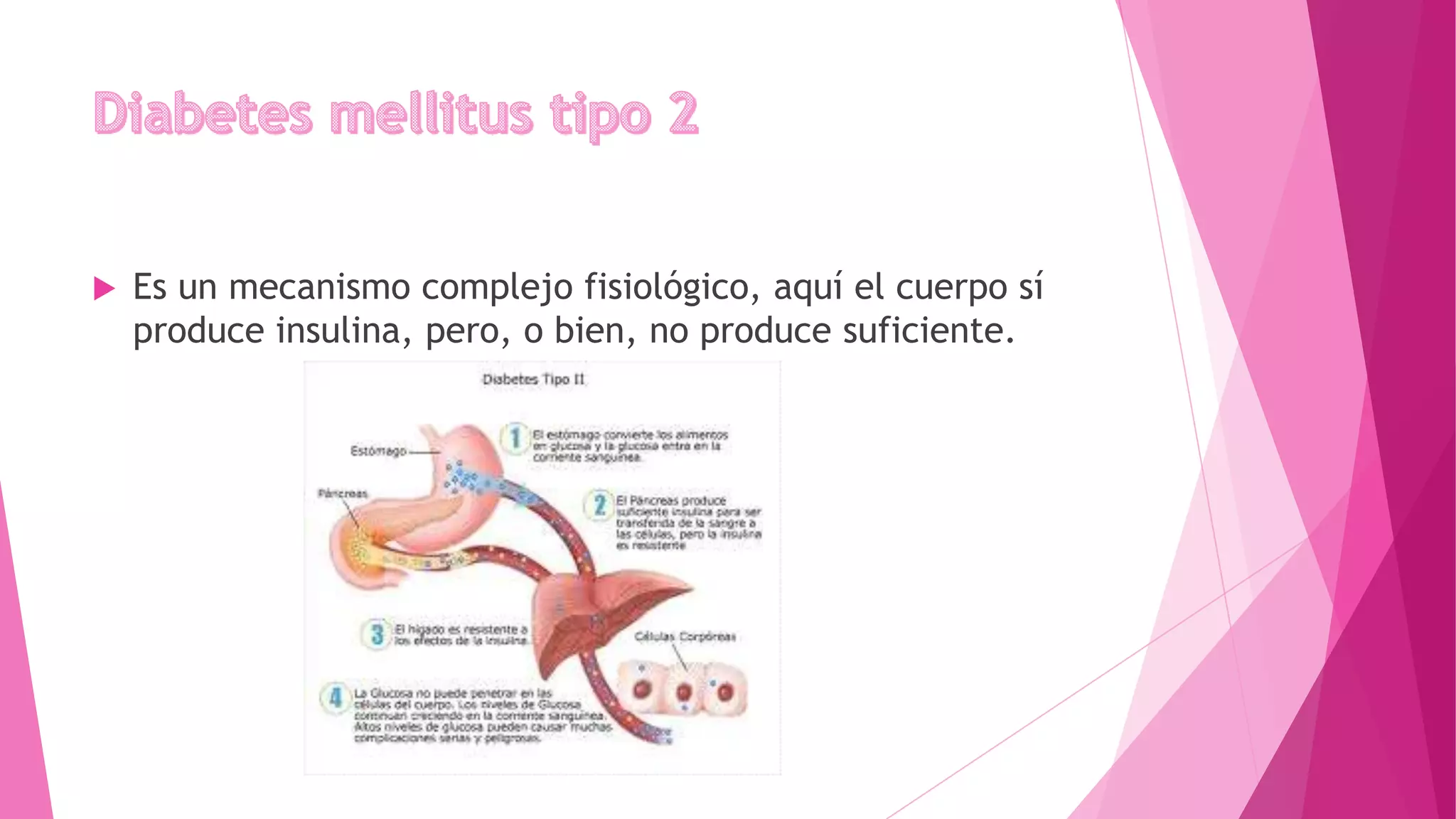  Es un mecanismo complejo fisiológico, aquí el cuerpo sí
produce insulina, pero, o bien, no produce suficiente.