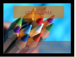 RUBÍ LÓPEZ SOLÍS
DESARROLLO DE NEGOCIOS 12