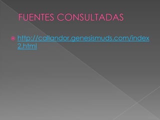 FUENTES CONSULTADAShttp://callandor.genesismuds.com/index2.html