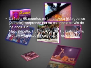 • La fiesta de muertos en la huasteca hidalguense
  (Xantolo), sorprende por su colorido a través de
  los años. En
  Macustepetla, Huautla, Coatlila, Huazalingo, Hu
  ejutla y Atlapexco, la celebración es sagrada.
 