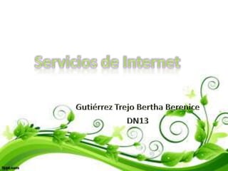 Servicios de Internet Gutiérrez Trejo Bertha Berenice DN13 