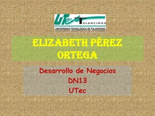 Elizabeth Pérez
    Ortega
 Desarrollo de Negocios
         DN13
          UTec
 