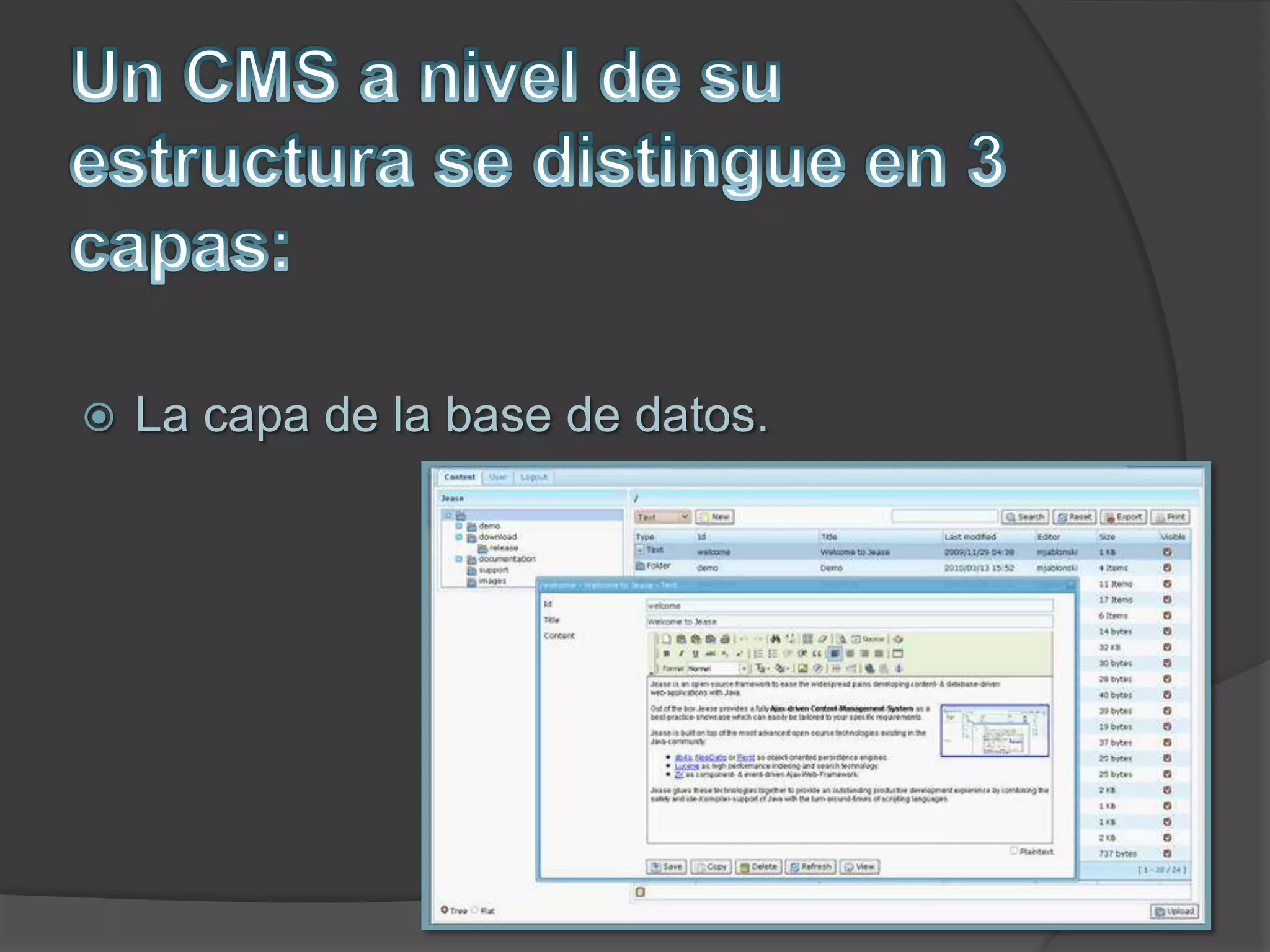  La capa de la base de datos.