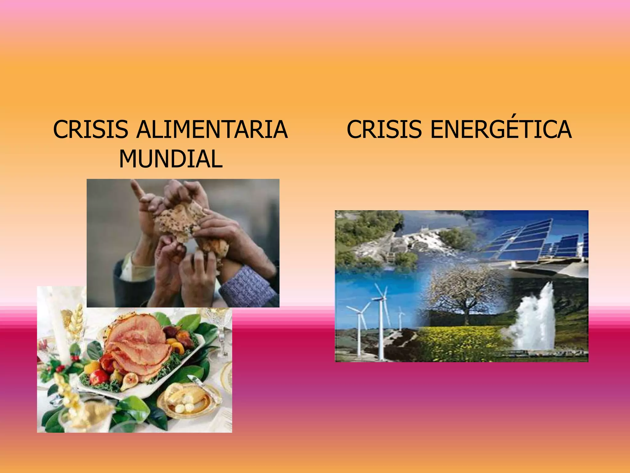CRISIS ALIMENTARIA   CRISIS ENERGÉTICA
     MUNDIAL
 