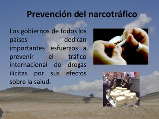 Prevención del narcotráficoLos gobiernos de todos los países dedican importantes esfuerzos a prevenir el tráfico internacional de drogas ilícitas por sus efectos sobre la salud.