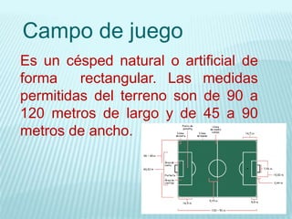 Campo de juego
Es un césped natural o artificial de
forma rectangular. Las medidas
permitidas del terreno son de 90 a
120 metros de largo y de 45 a 90
metros de ancho.
 